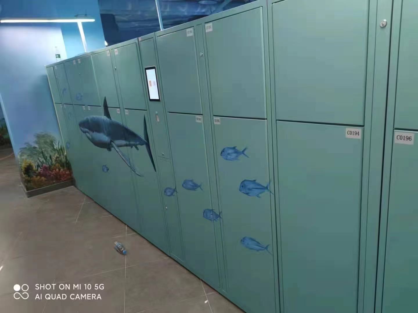 Case Image